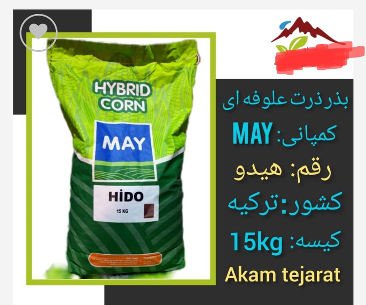 بذر ذرت علوفه ای